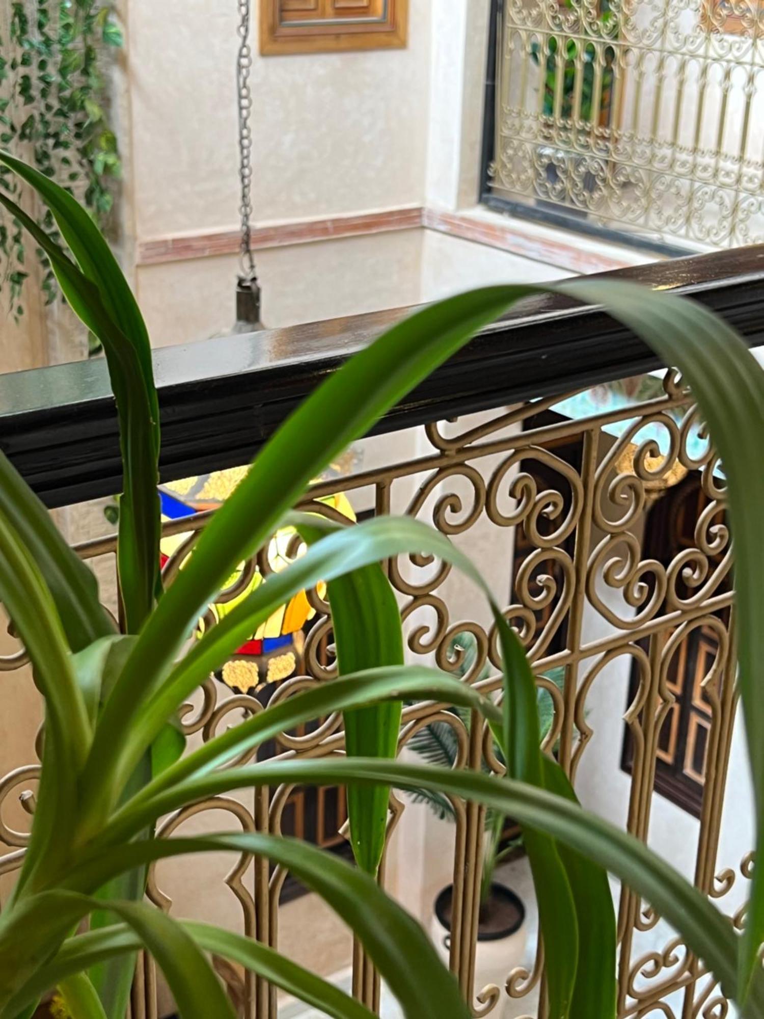 Riad Alice Terrace & Spa Марракеш Екстер'єр фото